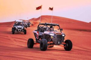 2 SEATER - POLARIS RZR 1000CC (1-Hr)